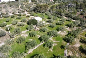 Foto 15