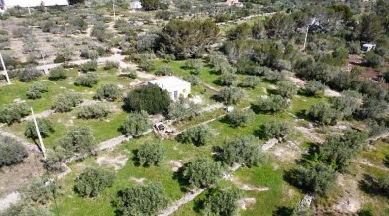 Tarragona - l'Ametlla de Mar - 6000m2