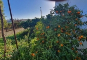 Suelo urbano en venta en la España, Alhaurín de la Torre, ref: TR403663 foto