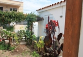 Chalet independiente con terreno en venta en la España, Deltebre, ref: TR313371 foto