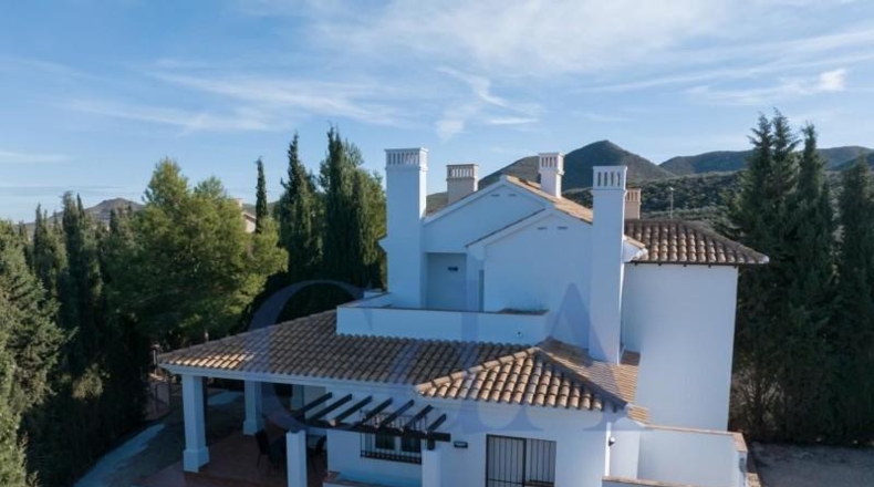 Murcia - Fuente Álamo de Murcia - 520m2