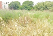 Urban land for sale on España, Figueres, ref: TR270287 photo