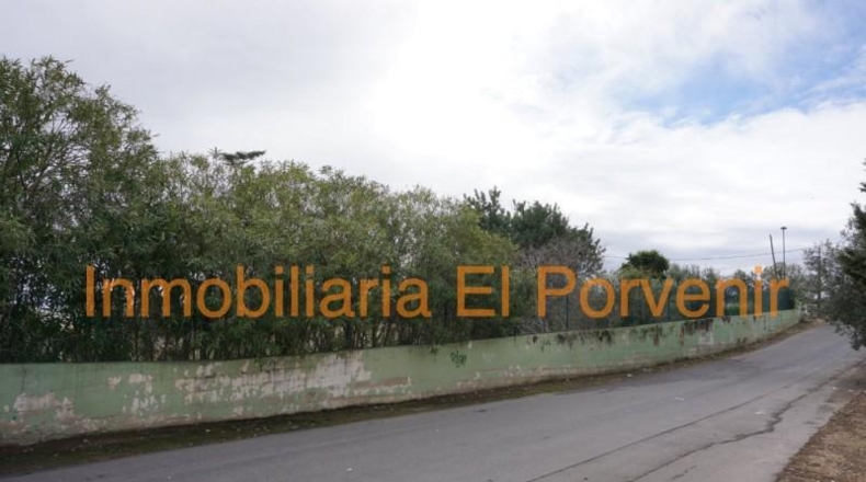 Valencia - Torrente - 508m2