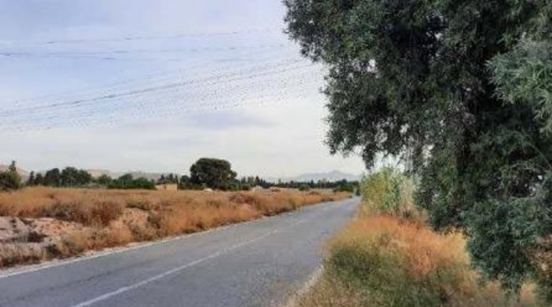Alicante - Alicante - 2462m2