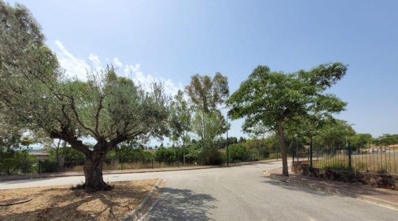 Barcelona - Sant Esteve Sesrovires - 822m2