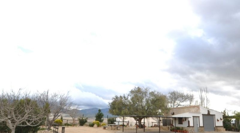 Murcia - Jumilla - 331000m2