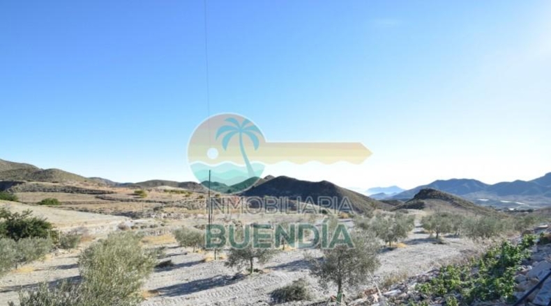 Murcia - Lorca - 58000m2