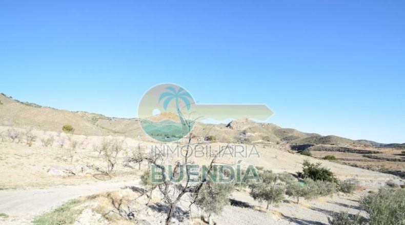 Murcia - Lorca - 58000m2