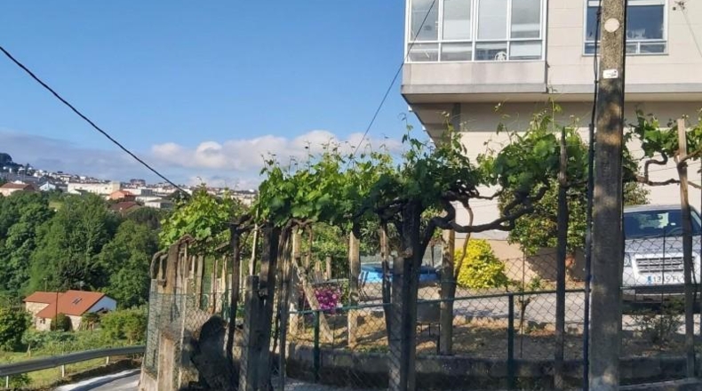 Orense - Larouco - 532m2