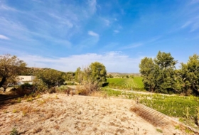 Loja 4500&nbsp;м²