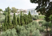 Finca rústica en venda a la España, Jaén, ref.: TR270286 foto