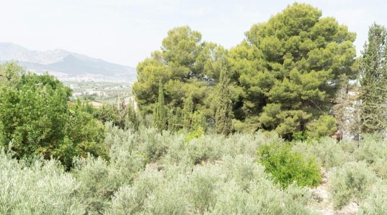 Jaén - Jaén - 2298m2