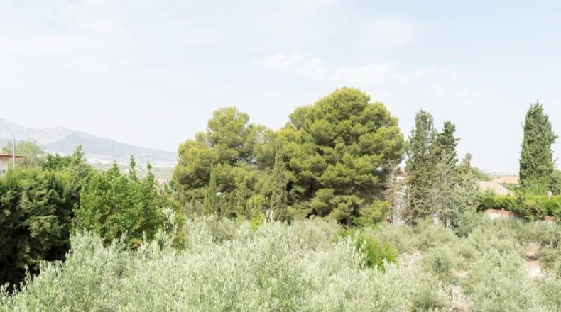 Jaén - Jaén - 2298m2