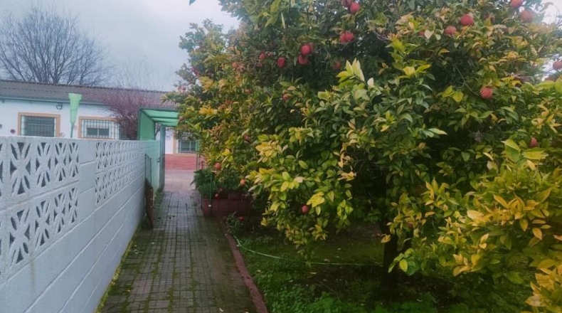 Córdoba - Córdoba - 346m2