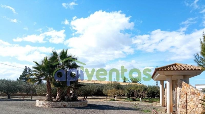 Murcia - Puerto Lumbreras - 5000m2