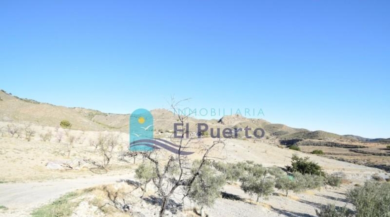 Murcia - Lorca - 58000m2