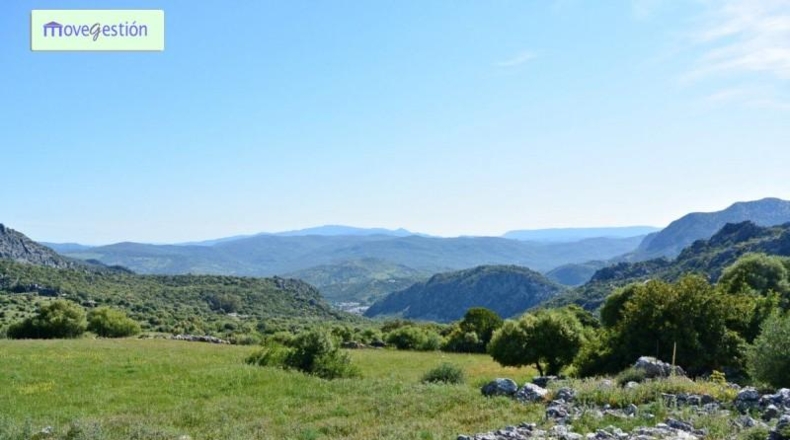 Cádiz - Benaocaz - 25000m2