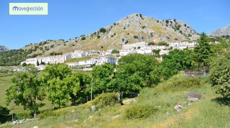 Cádiz - Benaocaz - 25000m2