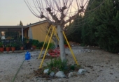 Finca rústica en venda a la España, Molina de Segura, ref.: TR291302 foto