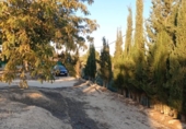 Finca rústica en venda a la España, Molina de Segura, ref.: TR291302 foto