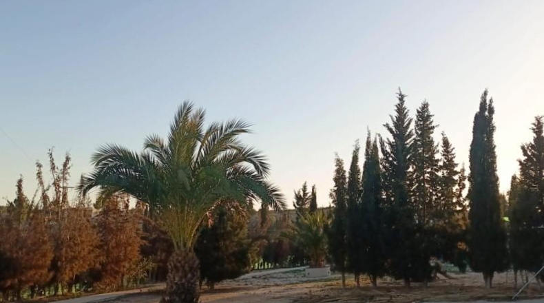 Murcia - Molina de Segura - 4500m2