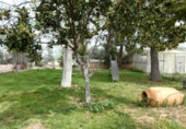 Xalet independent amb terreny en venda a la España, Baza, ref.: TR241408 foto