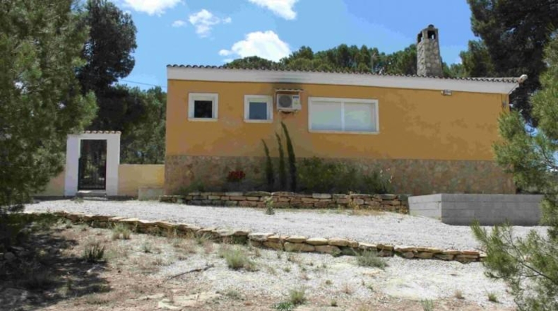 Murcia - Murcia - 60000m2