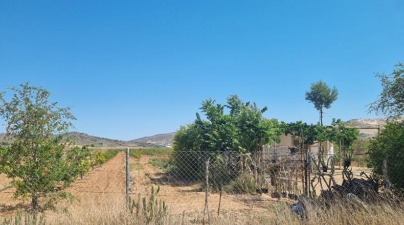 Murcia - Abanilla - 55000m2