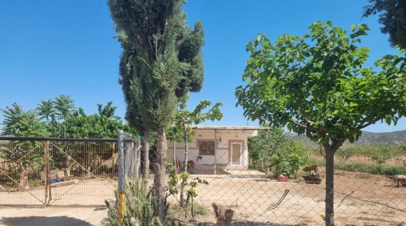 Murcia - Abanilla - 55000m2