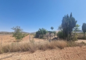 Finca rústica en venda a la España, Favanella, ref.: TR296259 foto