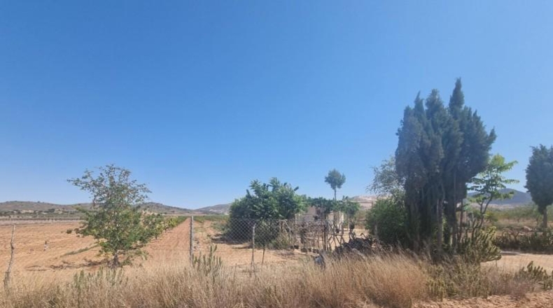 Murcia - Abanilla - 55000m2