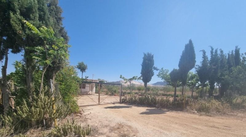 Murcia - Abanilla - 55000m2