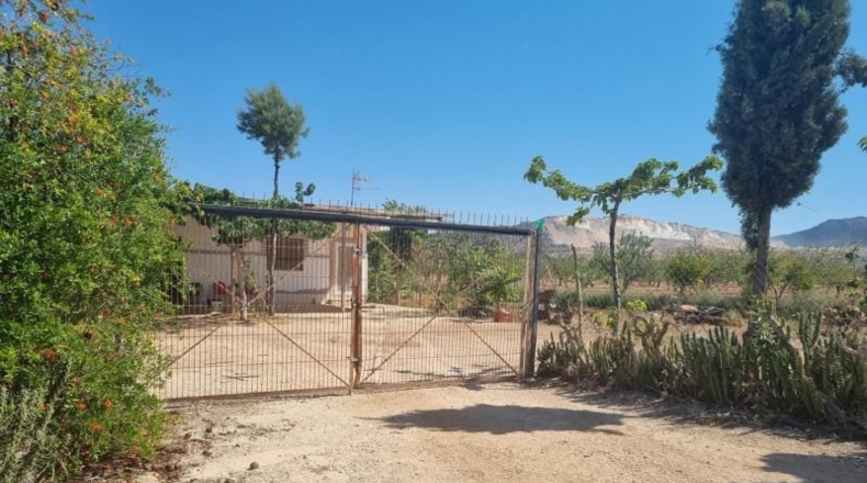 Murcia - Abanilla - 55000m2