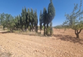 Finca rústica en venda a la España, Favanella, ref.: TR296259 foto