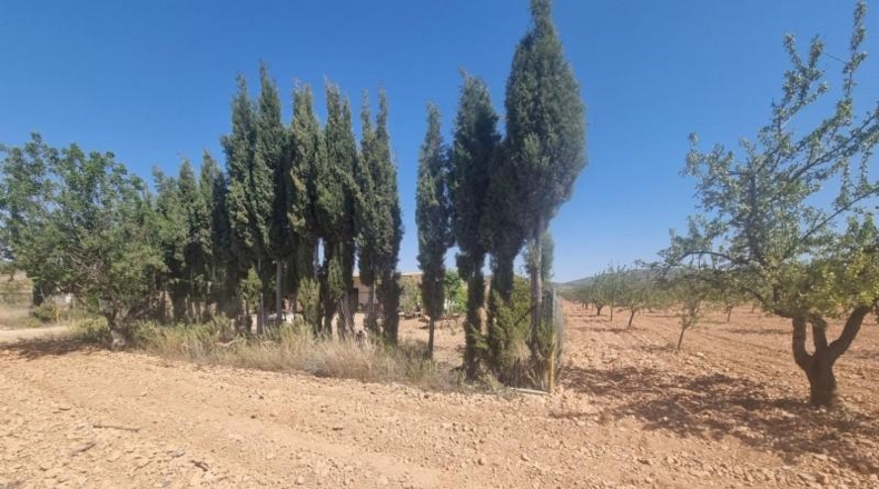 Murcia - Abanilla - 55000m2