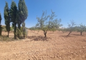 Finca rústica en venda a la España, Favanella, ref.: TR296259 foto