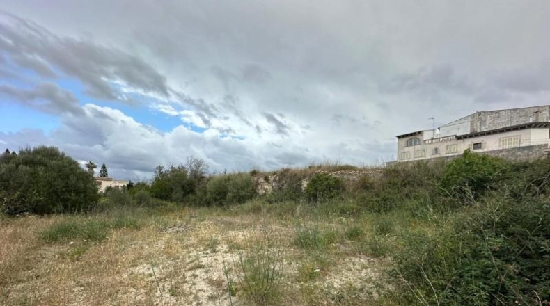 Balearic Islands - Son Bauló - 486m2
