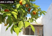 Casa de poble en venda a la España, Alcalá de Guadaíra, ref.: TR391077 foto