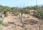 Xalet independent amb terreny en venda a la España, Fasnia, ref.: TR169862 foto
