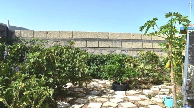 Santa Cruz de Tenerife - Fasnia - 850m2