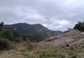 Xalet independent amb terreny en venda a la España, Pena-roja de Tastavins, ref.: TR322531 foto