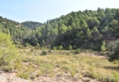 Xalet independent amb terreny en venda a la España, Pena-roja de Tastavins, ref.: TR322531 foto
