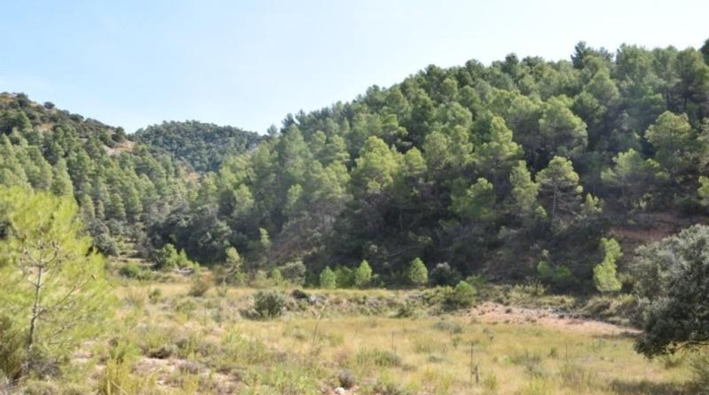 Teruel - Peñarroya de Tastavins - 1710000m2