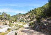 Xalet independent amb terreny en venda a la España, Pena-roja de Tastavins, ref.: TR322531 foto