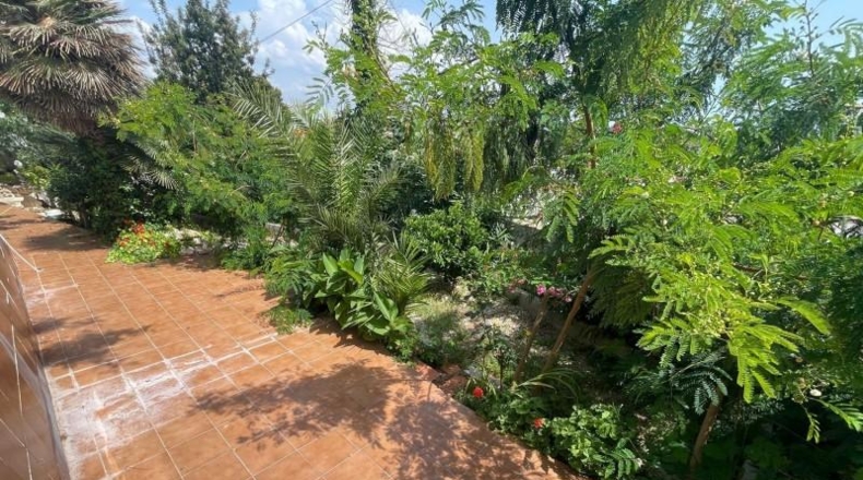 Castellón - Peníscola - 643m2