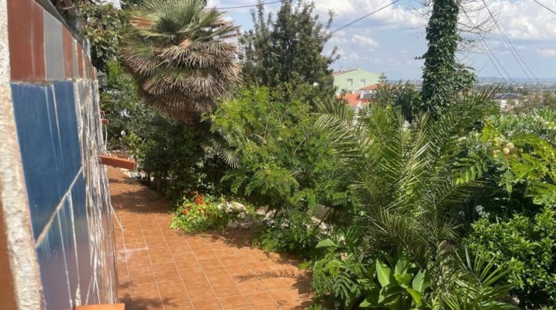 Castellón - Peníscola - 643m2