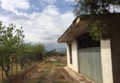 Terreno no urbanizable en venta en la España, Murcia, ref: TR119618 foto