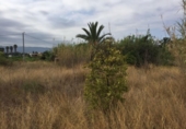 Terreno no urbanizable en venta en la España, Murcia, ref: TR119618 foto