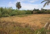 Terreno no urbanizable en venta en la España, Murcia, ref: TR119618 foto
