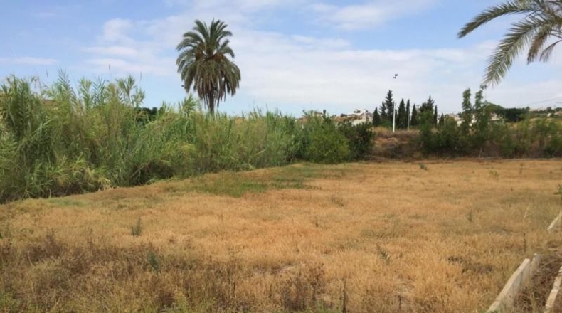 Múrcia - Murcia - 2000m2